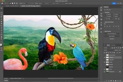 adobe-photoshop