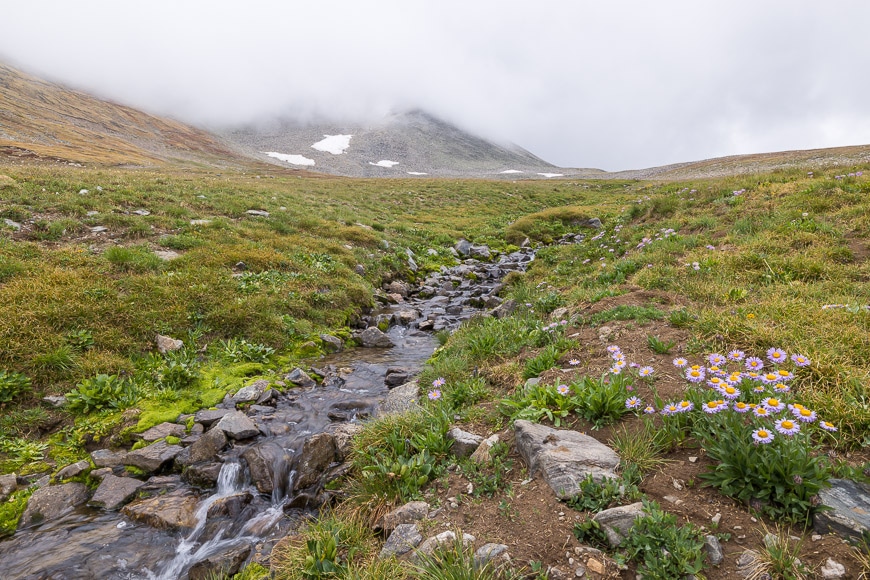 Mountain scene with stream Canon R5 + Canon 15-35mm f/2.8 L