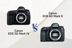 canon 6d mark ii vs 5d mark iv