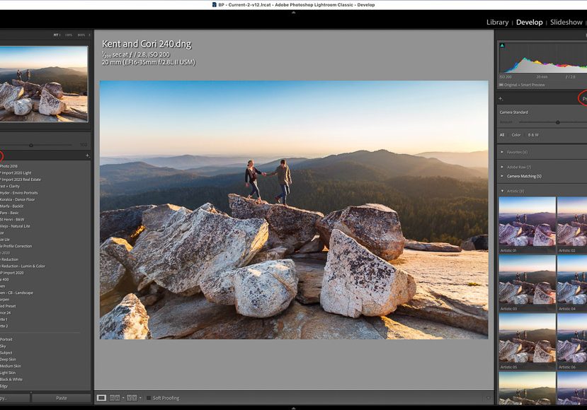how-to-use-lightroom-profiles-04