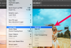Layer-mask-reveal-all