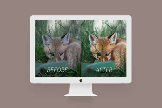 Lightroom Before After Examples