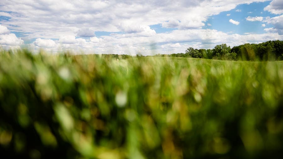 Panasonic Leica 10mm-25mm f/1.7 lens sample photo of landscape