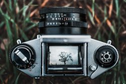 vintage camera sitting in grass