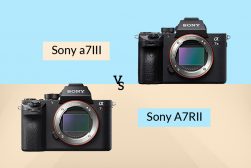 sony a7rii vs a7iii