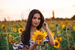 Sunflower-Field-Photoshoot -zura-modebadze